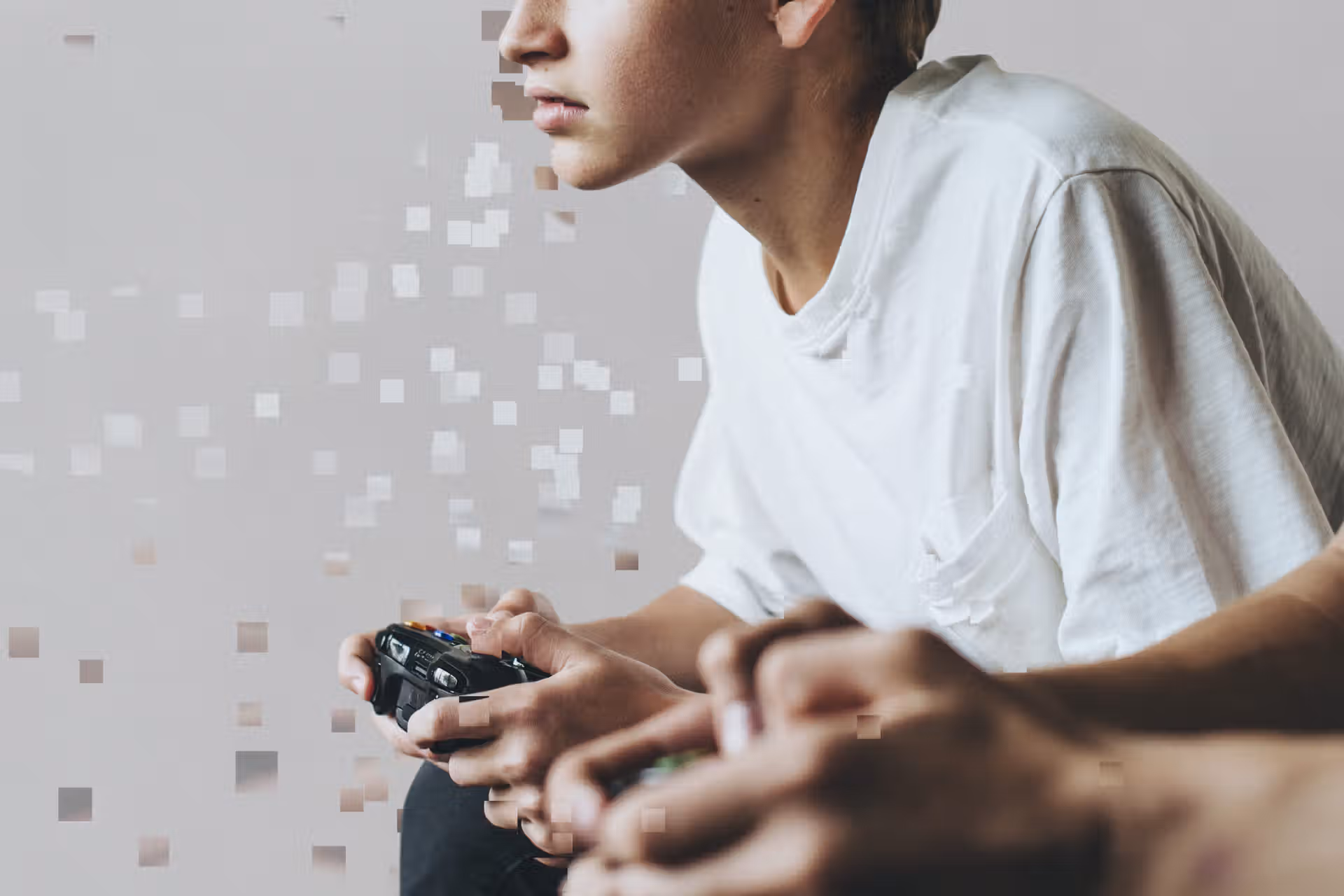 lws minecraft